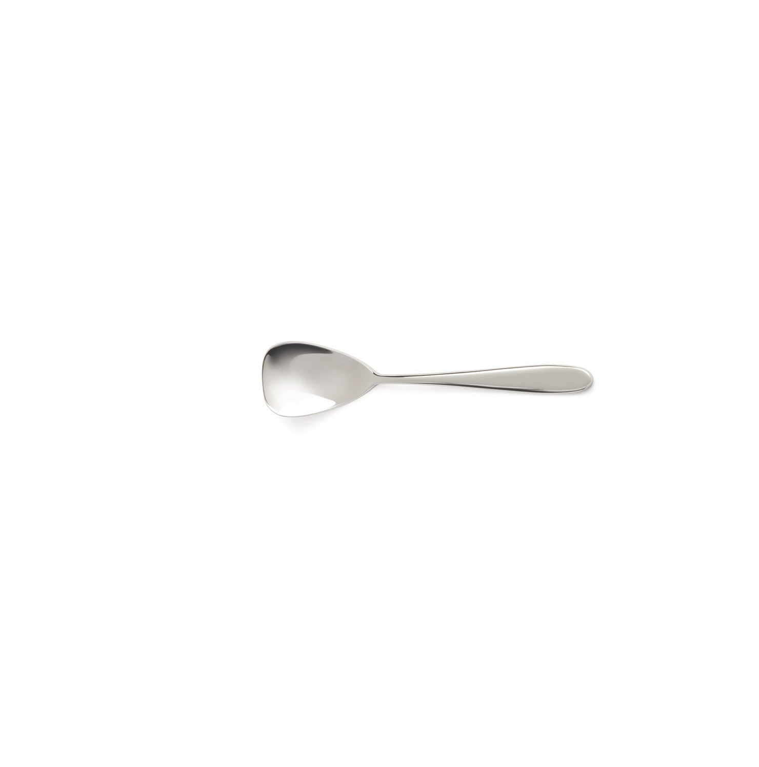 Turquoise - 12-piece ice cream spoon